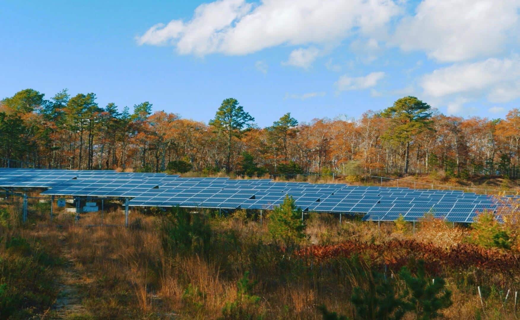 brewster ma cape cod community solar garden